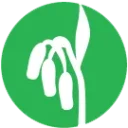 zywokost